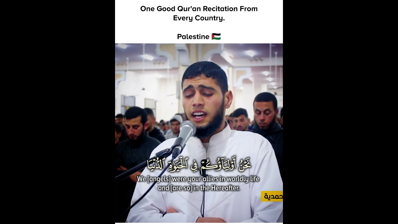Heart Touching Quran Recitation by Ahmed Ibrahim Hamdia from Palestine 🇵🇸 | Surah Fussilat (30-32) 🤍