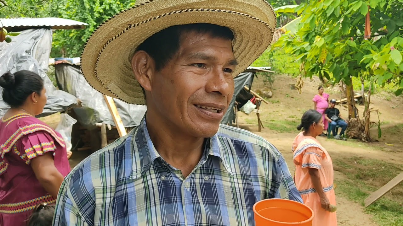 ASI se hace la chicha tradicional NGÄBE BUGLE | TRADICIONES NGÄBE BUGLE
