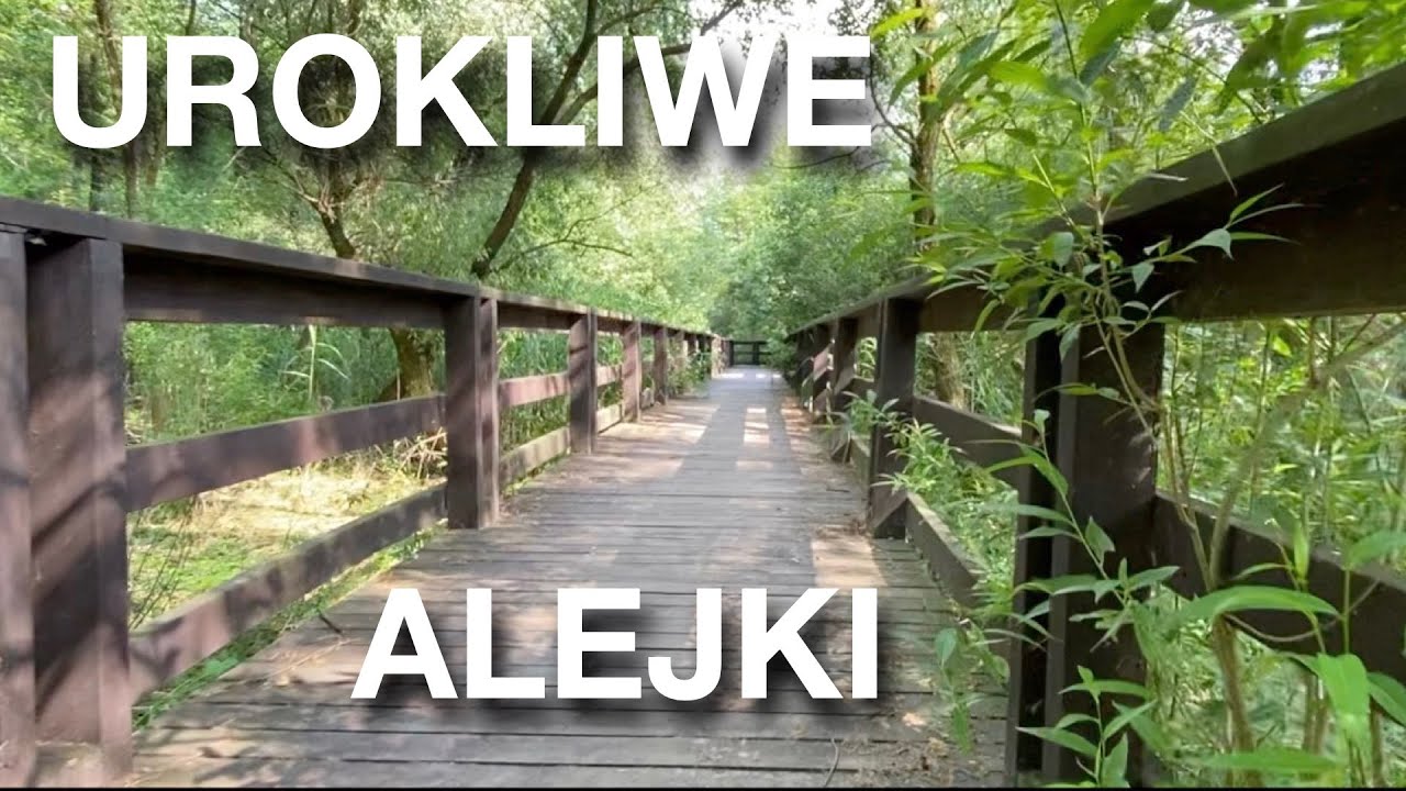 🎥🌾 Urokliwe kładki i zalew Bardowskiego🌳 na Targ&oacute;wku w Warszawie