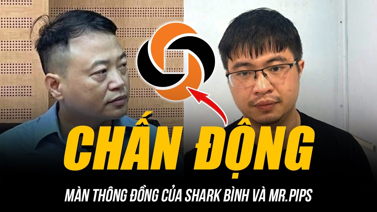 CHẤN ĐỘNG M&Agrave;N TH&Ocirc;NG ĐỒNG CỦA SHARK B&Igrave;NH V&Agrave; MR.PIPS | TẨU T&Aacute;N TIỀN CHO NHAU, TỘI CHỒNG TỘI!