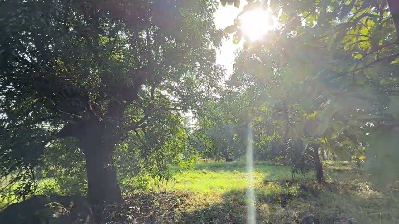 Prime Riverfront Road-Touch Plot for Resort/Farmhouse Price ₹7.50 Cr  | Khopoli&ndash;Pali Road 8928004431
