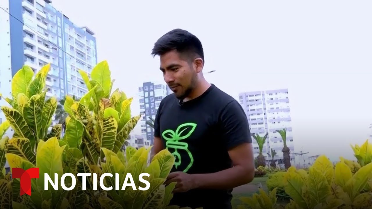 Un joven ingeniero descubre c&oacute;mo obtener energ&iacute;a el&eacute;ctrica a trav&eacute;s de plantas | Noticias Telemundo