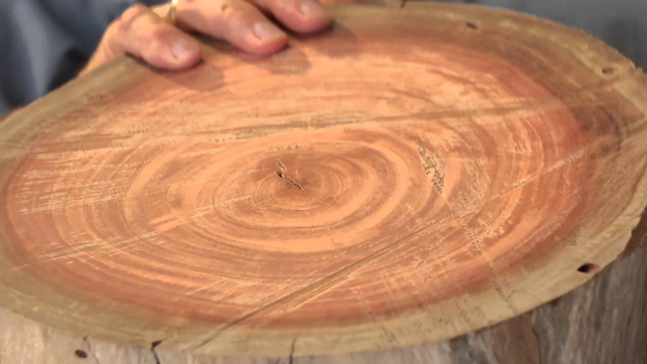 Understanding Timber Training Video Excerpt