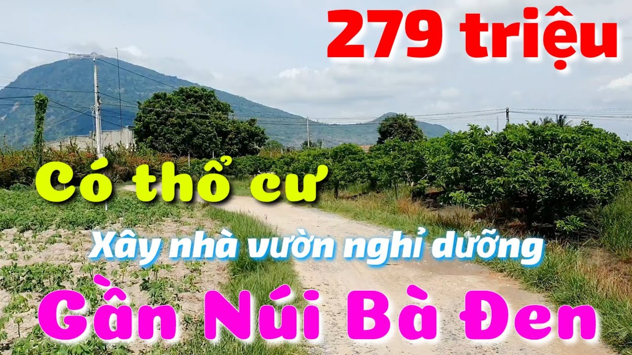 Đất 279 triệu gần Núi Bà Đen Tây Ninh có thổ cư sổ hồng riêng bán giá rẻ xây nhà vườn nghỉ dưỡng OK
