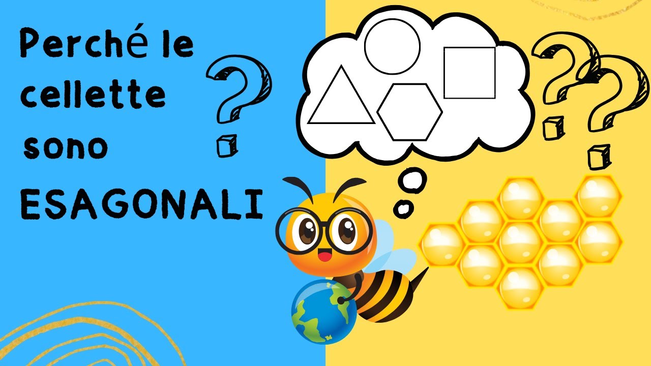 Perché le cellette delle API sono esagonali? 🍯🐝🐝🐝