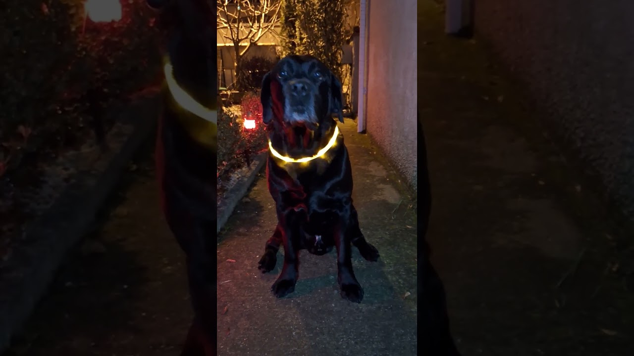 je bosse gratos depuis 4 ans 
