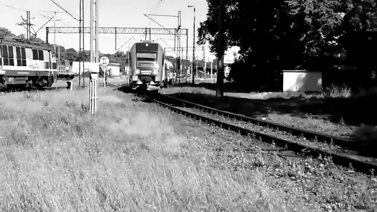 Pesa Atribo SA 135- 010 z Polregio oddział Zachodniopomorski