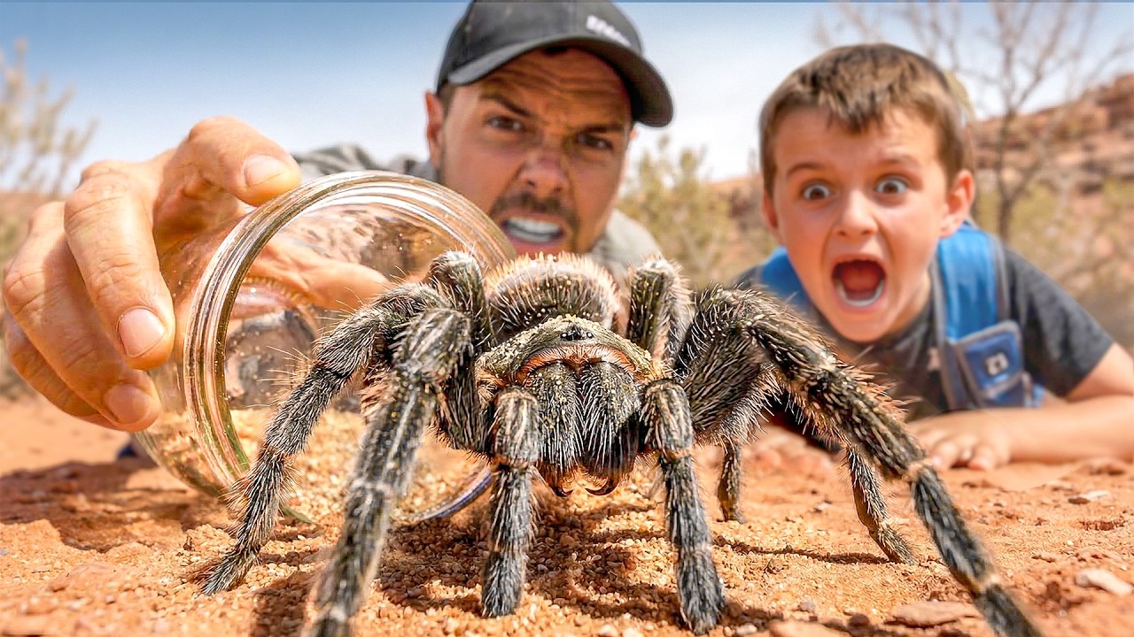 Catching Big Spiders with our Subscribers!