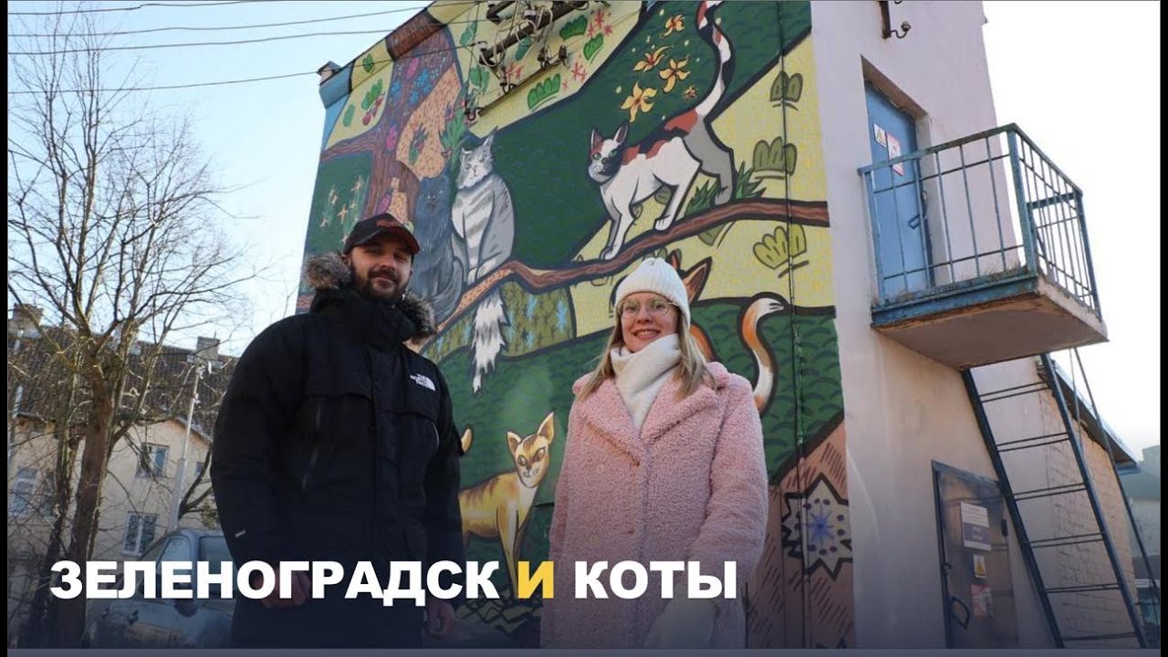 Зеленоградск и коты. Кто рисует графити в городе-курорте?
