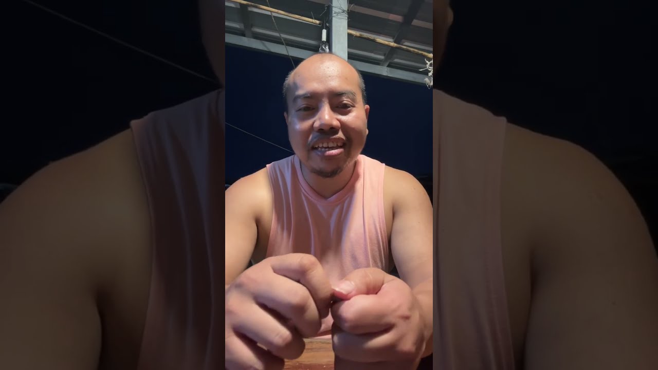 คุยกันหลังเกม กำเนิดม้าล่อขั้นเทพ 5.5 mและเจ้าเยียขวัญใจท่านรอง2.2 m