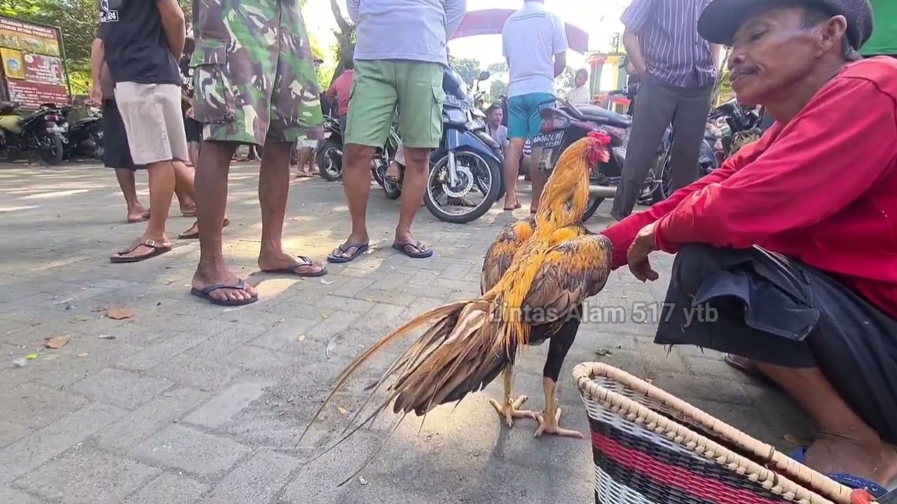 Pasar ayem BK wedi klaten 