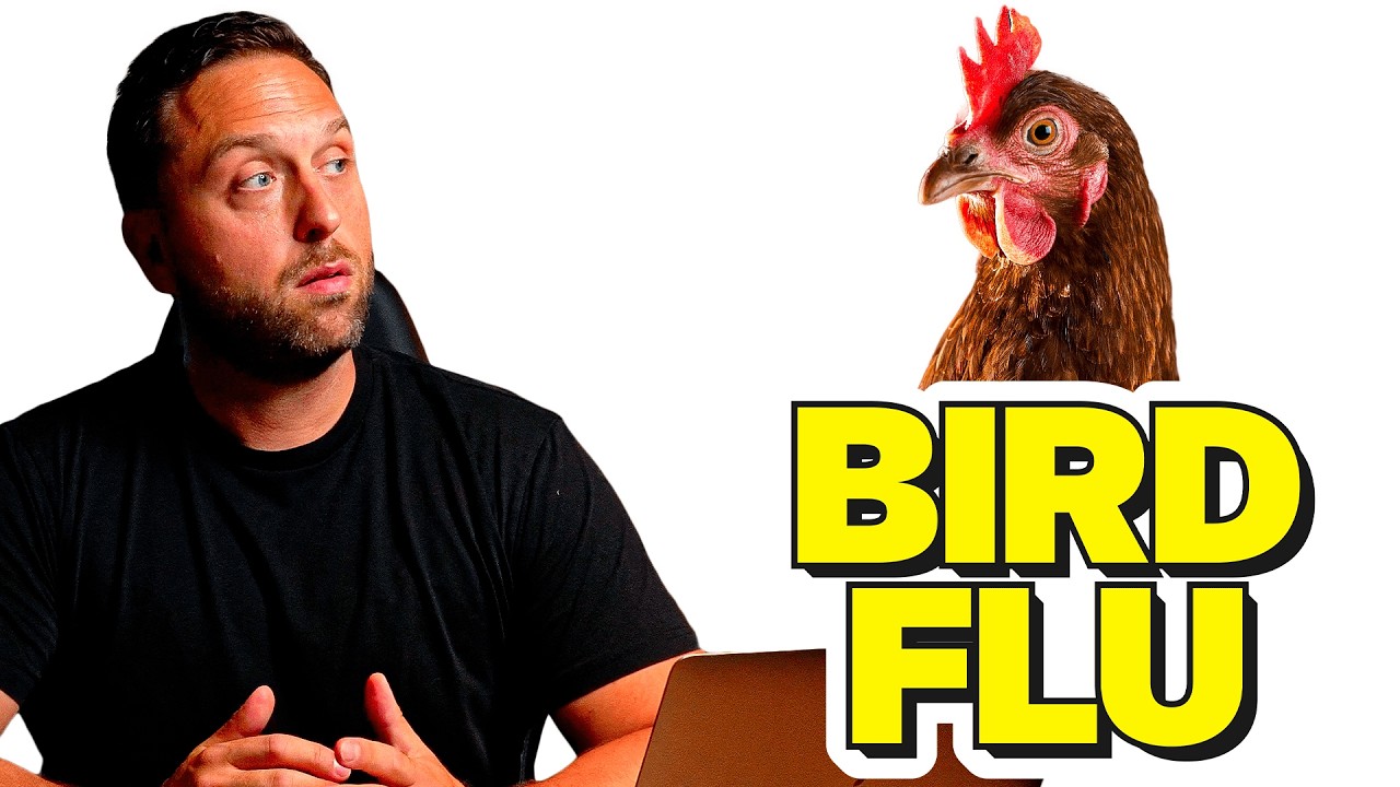 The Truth About The Bird Flu In Cats