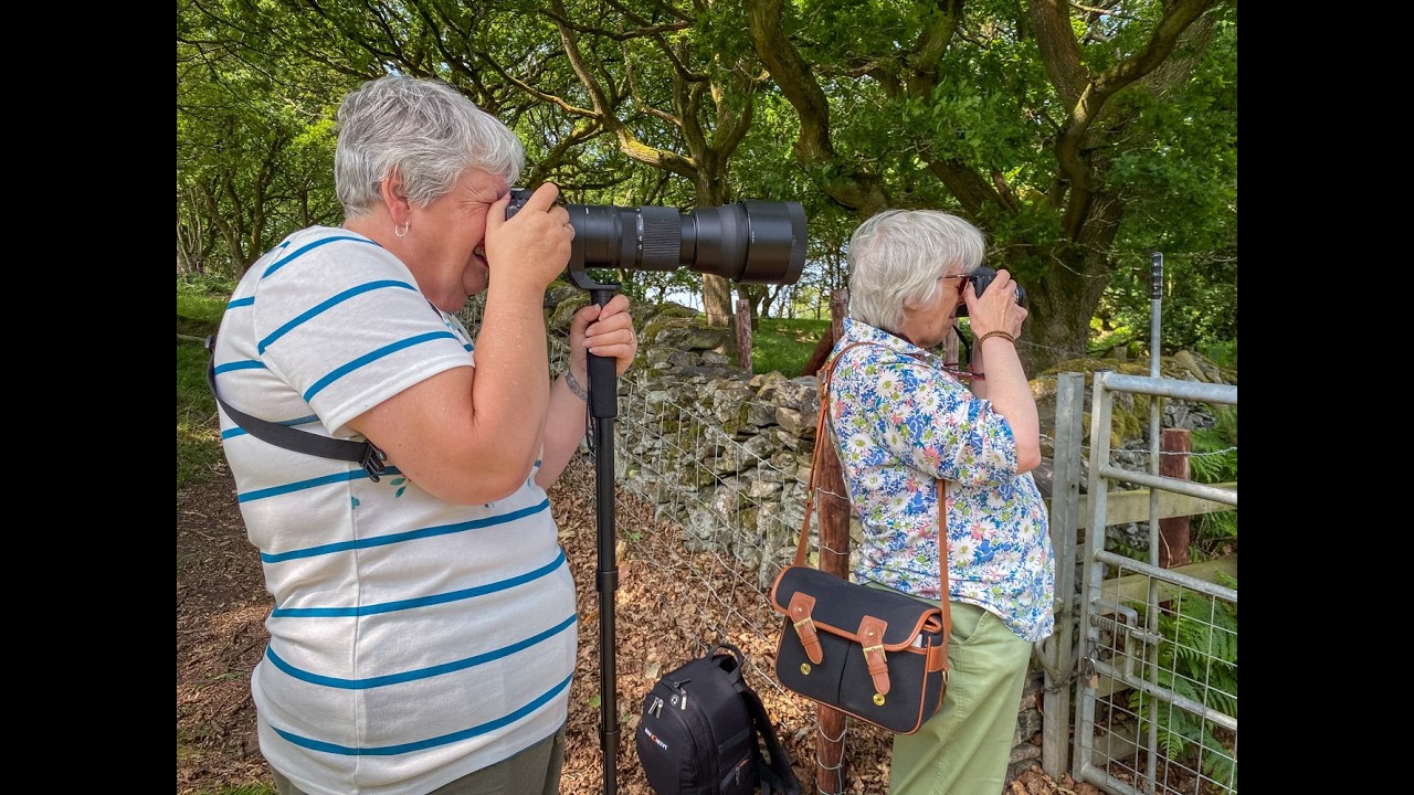 Explore Photography with your partner or your best friend with PH-ART-ED, Photo • Art • Education