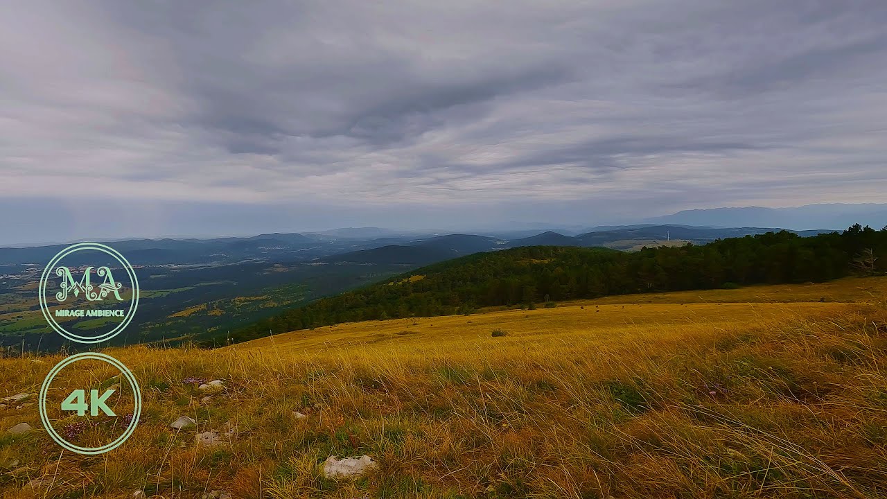 Approaching Storm | Wind, Rain & Distant Thunder | 1 Hour Real Nature Sounds for Relaxation 4K