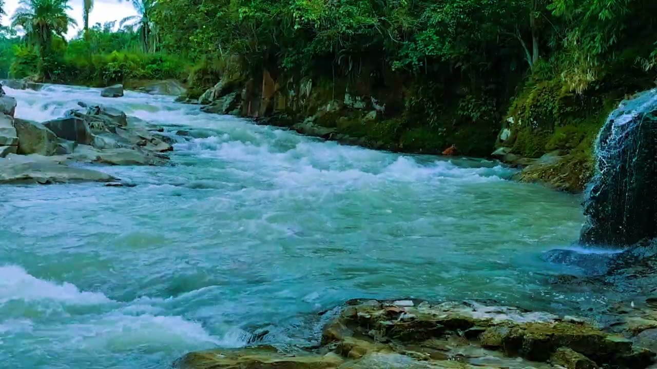 Pure River Sounds 🌿 Natural Water ASMR 🌊 - 2K HDR 60FPS