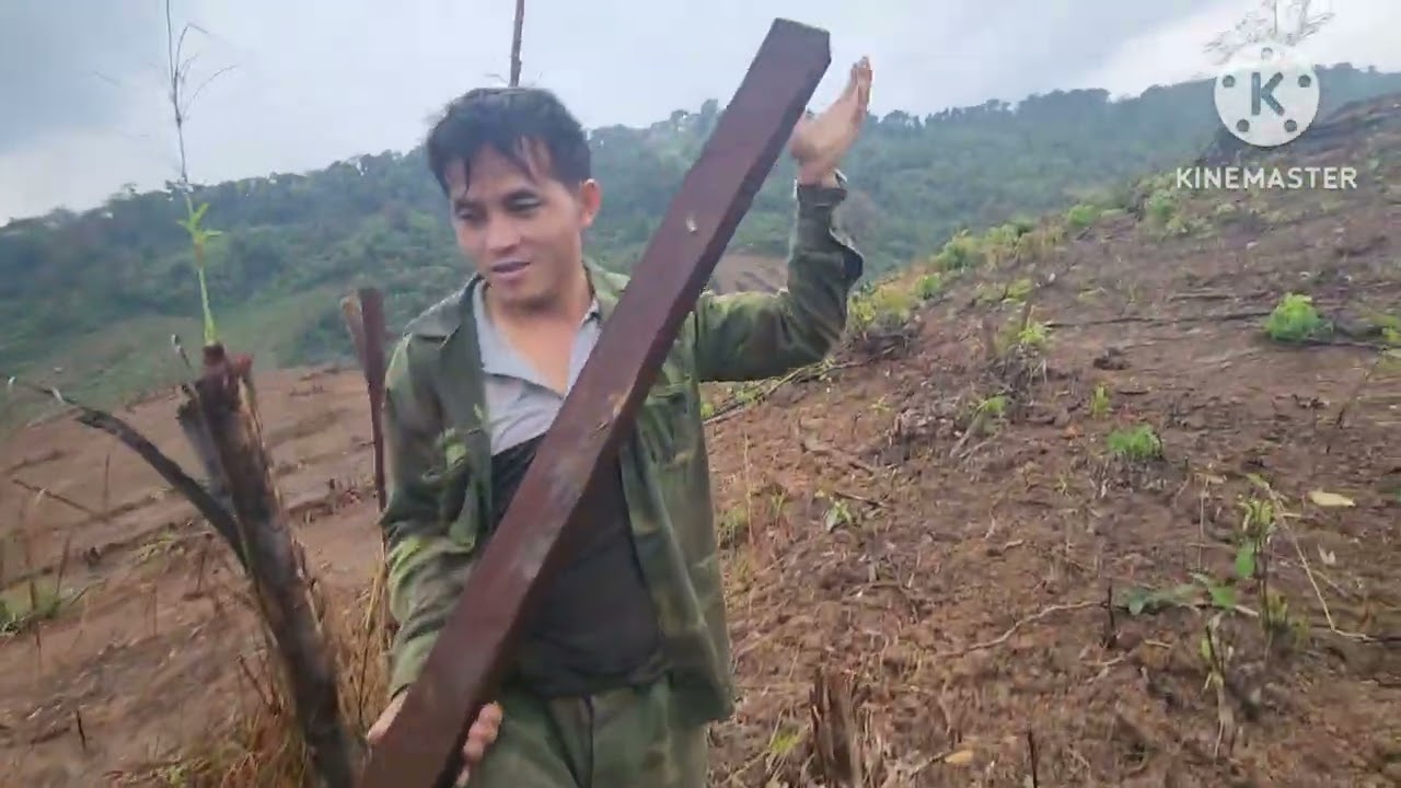 Saws ntxov rov qab mus kho laj kab dua os 26/2/2026