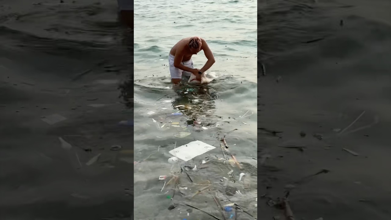 Keep the Sea Clean 💙 #oceancleanup  #protectnature  #trash