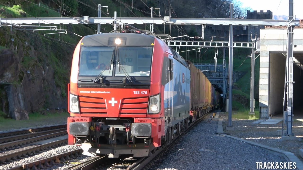 🇨🇭🏔️🚂Bahnhof Bellinzona(Tunnel, Cargo, Tilo, Traverso,SBB CFF FFS)[4K]