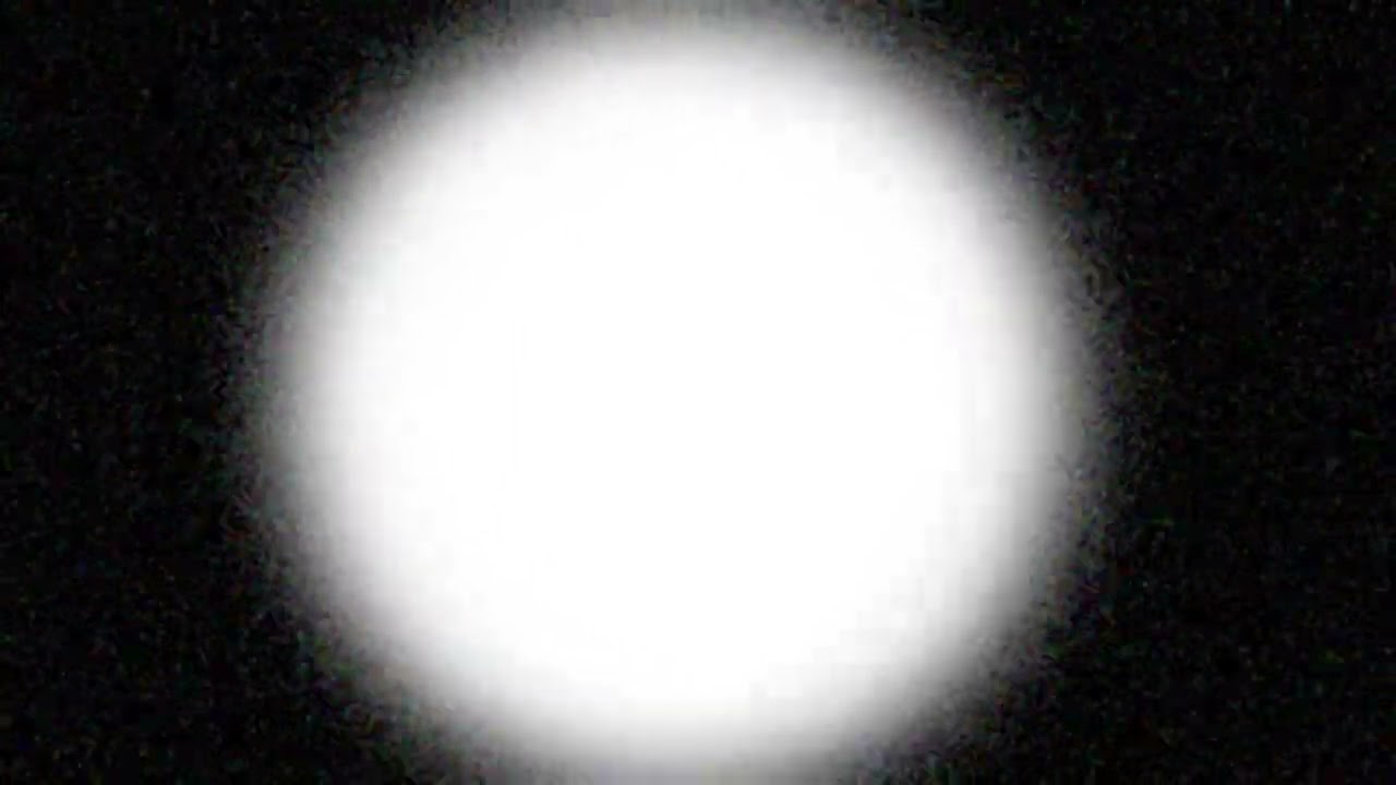 Buntspecht - Majorelika