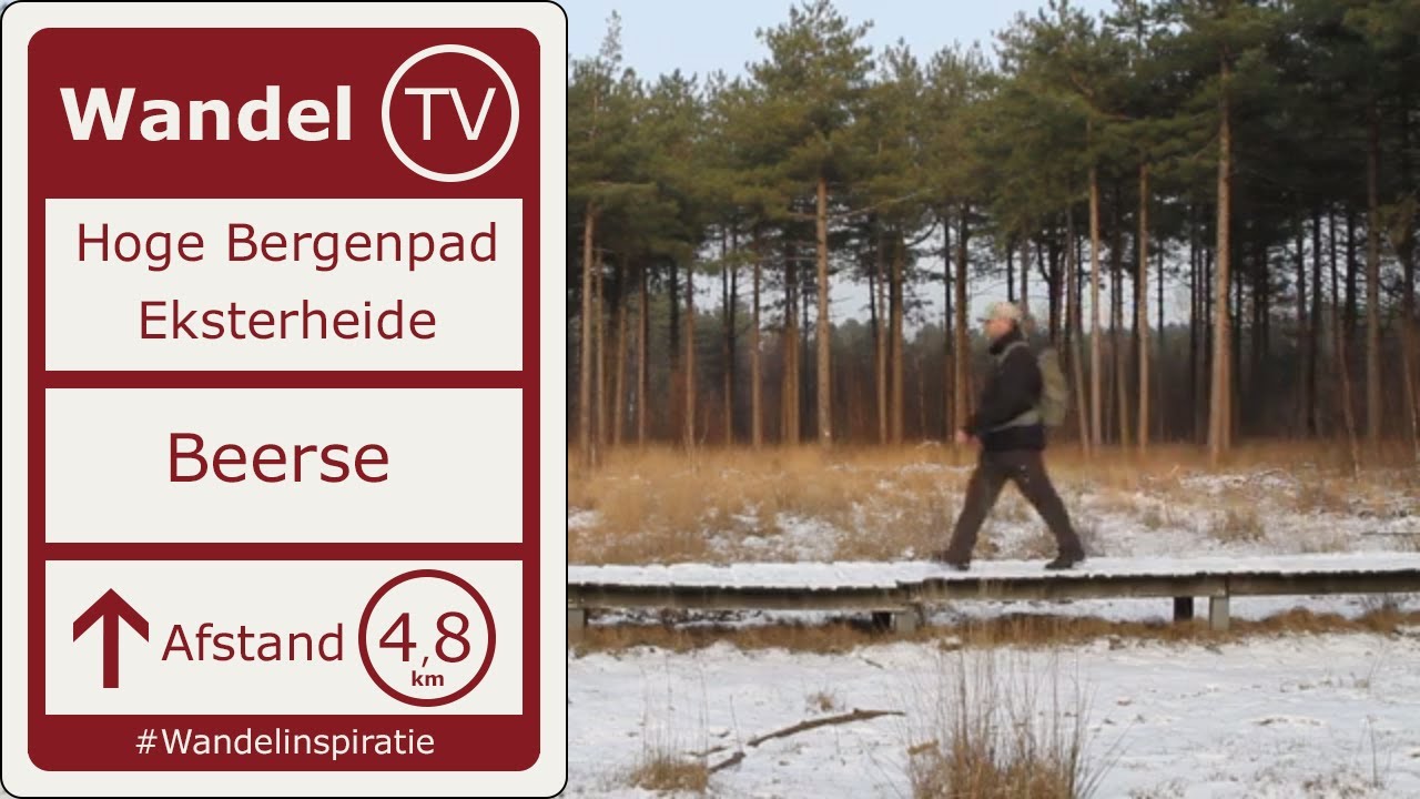 WANDELING Hoge Bergenpad in het natuurgebied Eksterheide in BEERSE | Wandel TV