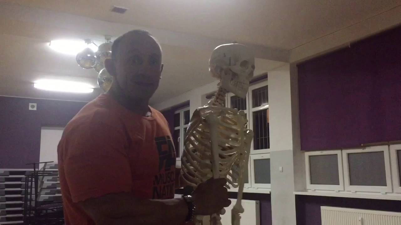 Najlepsze ćwiczenia na najszerszy grzbietu