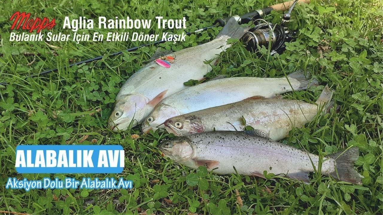 Bulanık Suda Alabalık Avı | Baştan Sona Bol Balıklı ve Aksiyon Dolu Balık Avı Mepps Rainbow Trout 🎣🐟