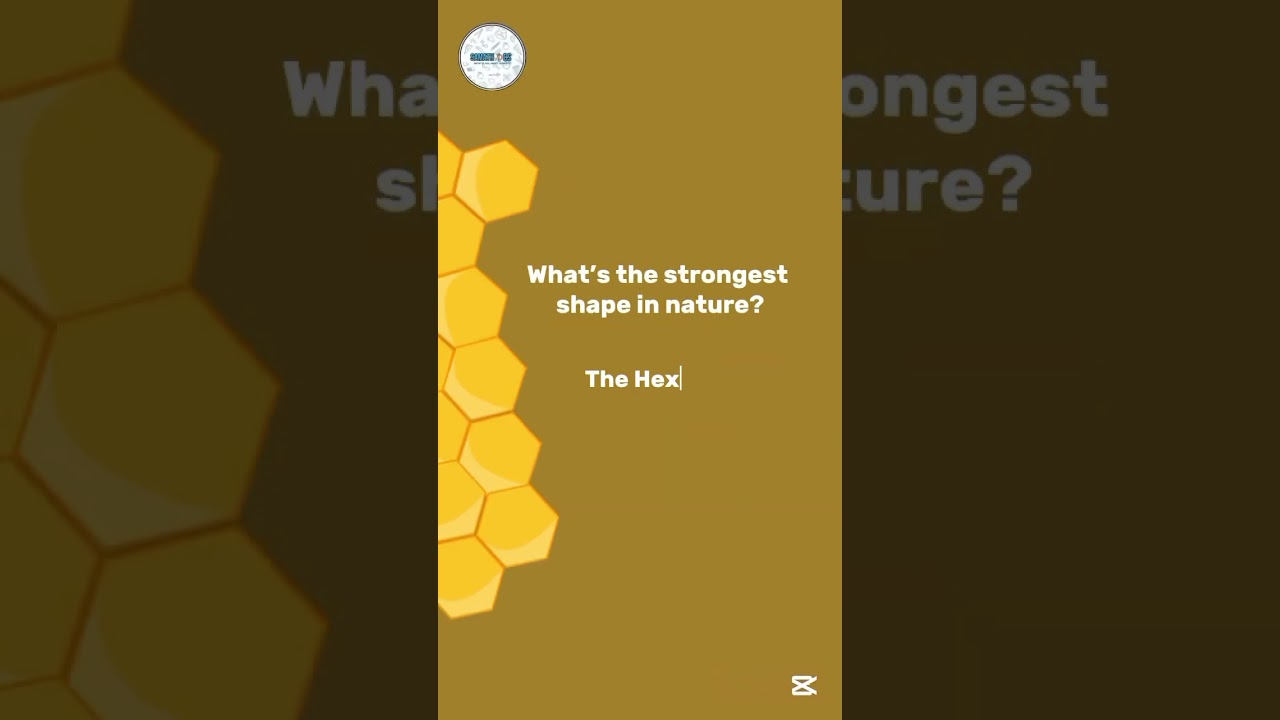 Why Hexagons Are Nature’s Power Shape 🐝 