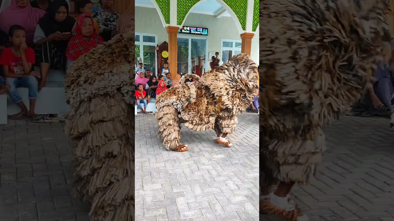 atraksi salto can macanan singo raung seperti barongsai