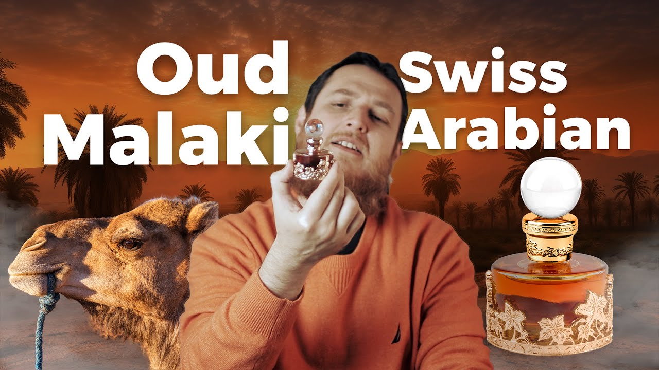 Oud Malaki Swiss Arabian - Did I find Oud in it or?