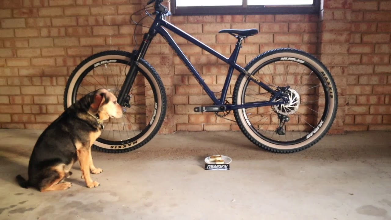Brand new COMMENCAL!! First look Commencal Meta ht 2020