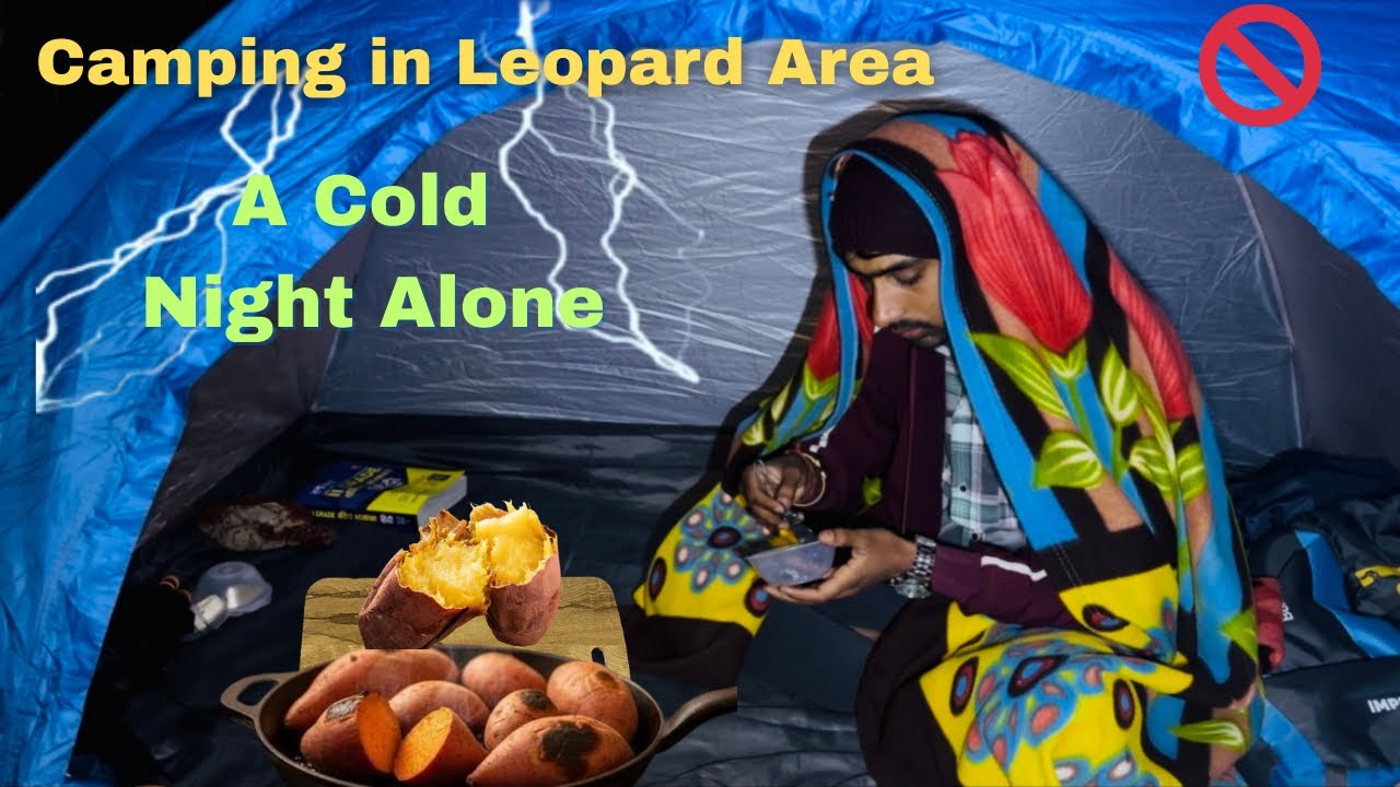 Extreme Cold Solo Camping in India | Dangerous Night