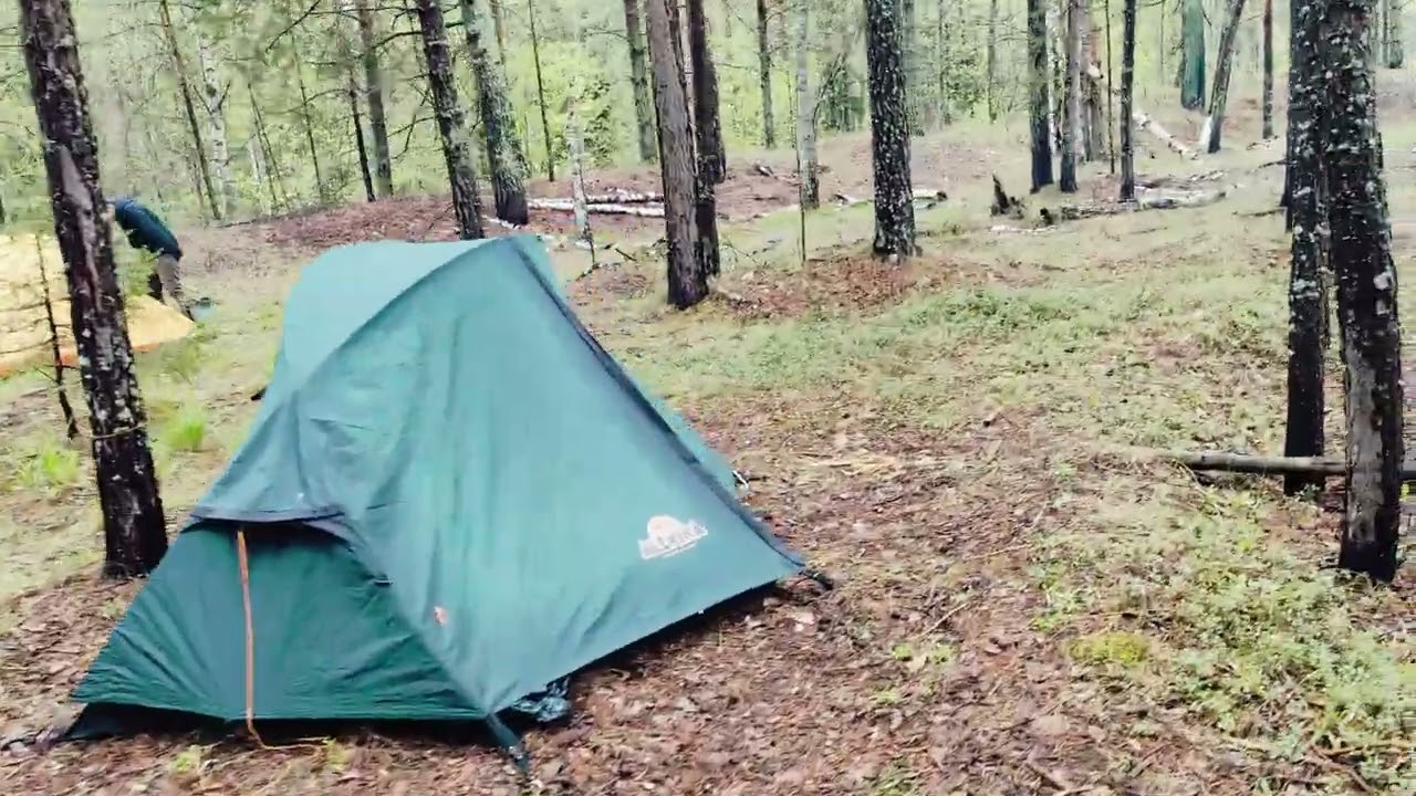 Утро в лесу. Марий Эл. Река Илеть. Сплав.