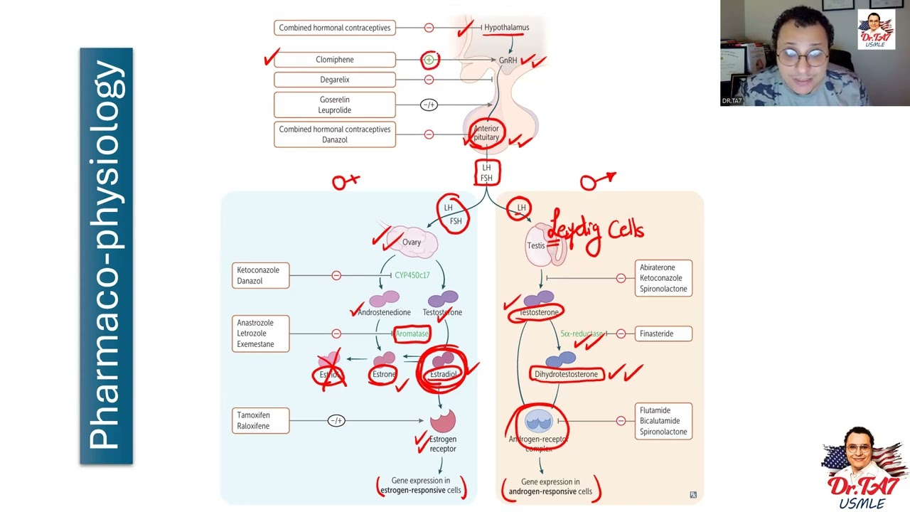DR TA7: REPRODUCTIVE PHARMACOLOGY 1