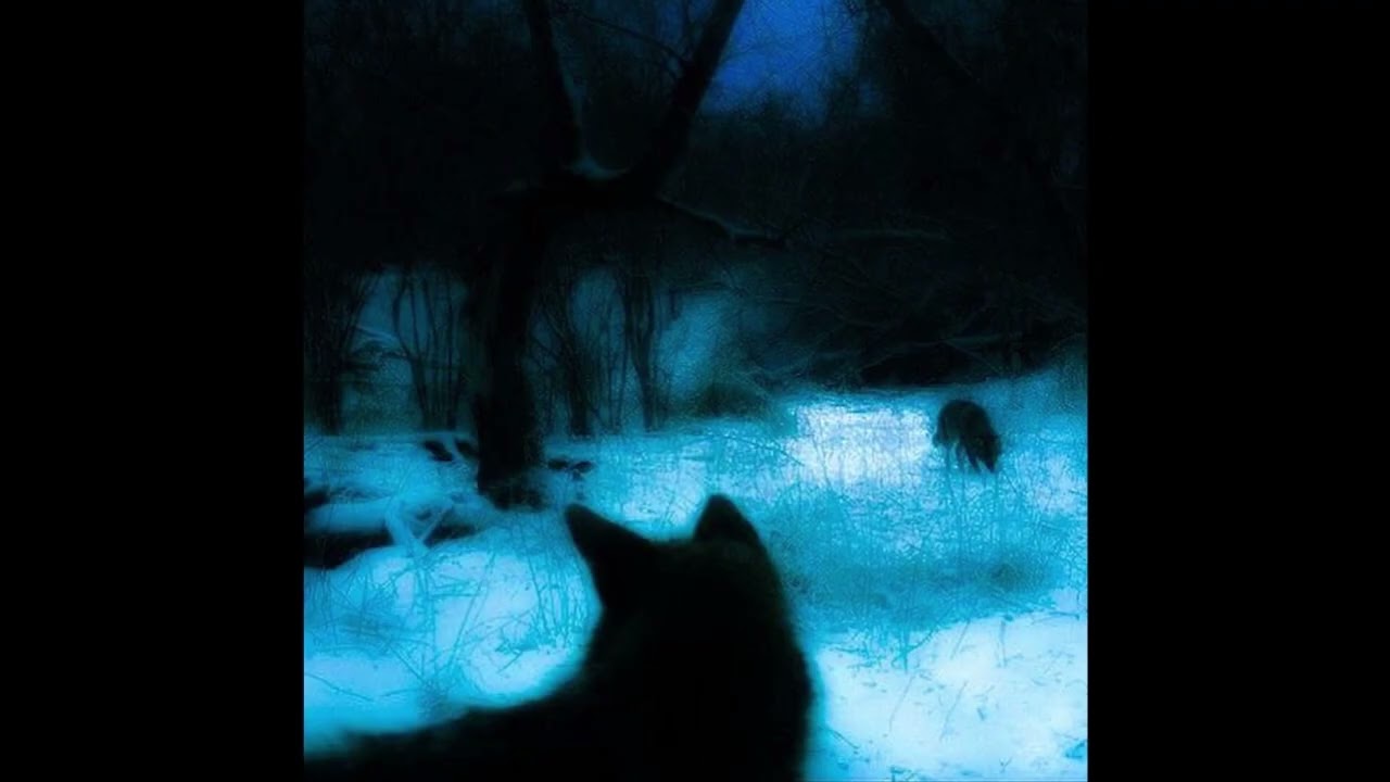 [FREE FOR PROFIT] About You - K Suave x Digicore Type Beat (prod. Gavino + m0rris)