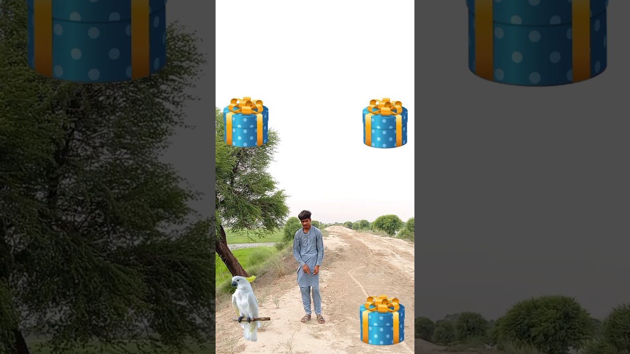 The Opening Box Vfx Birds #viralvideo #shortsviral #teamboss