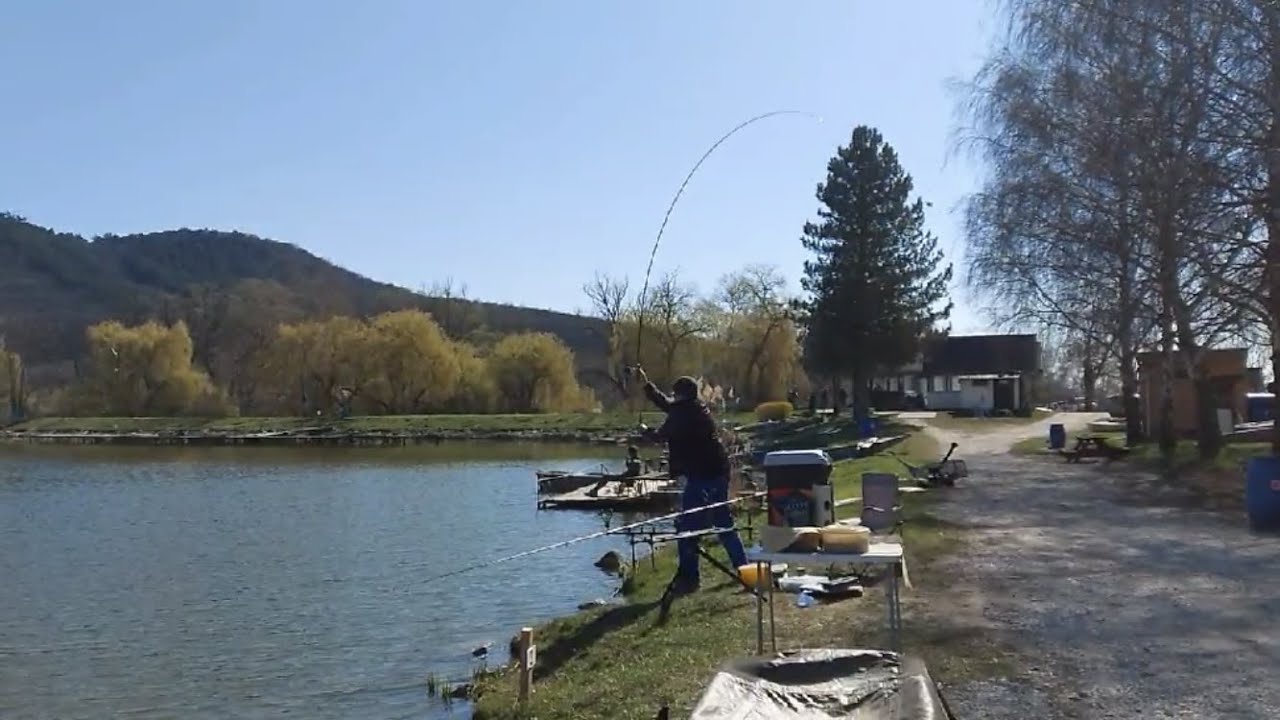 Shimano Beast Master DX Feeder 13’ long cast 120g