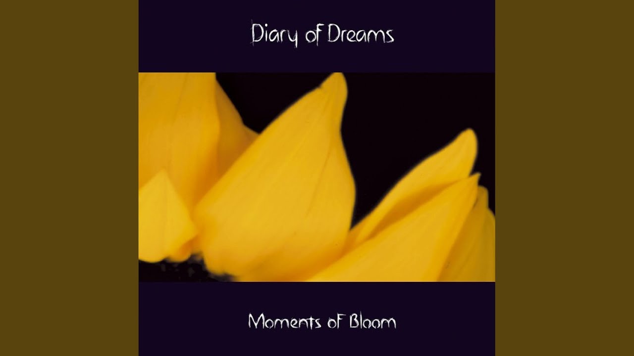 Ex-Ile (New Version)