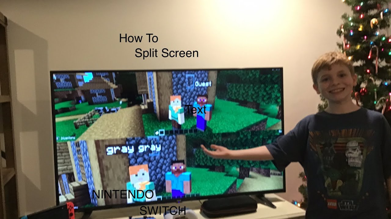 How to do split screen for Nintendo Switch