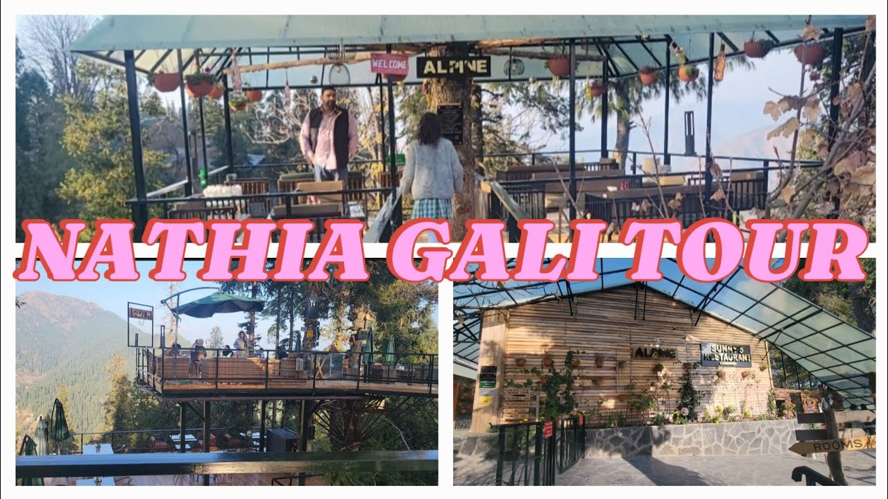 Alpine hotel NATHIA GALI||Tree house||mountain ||beauty of PAKISTAN 🇵🇰 ♥️ ||FAMILY FUN