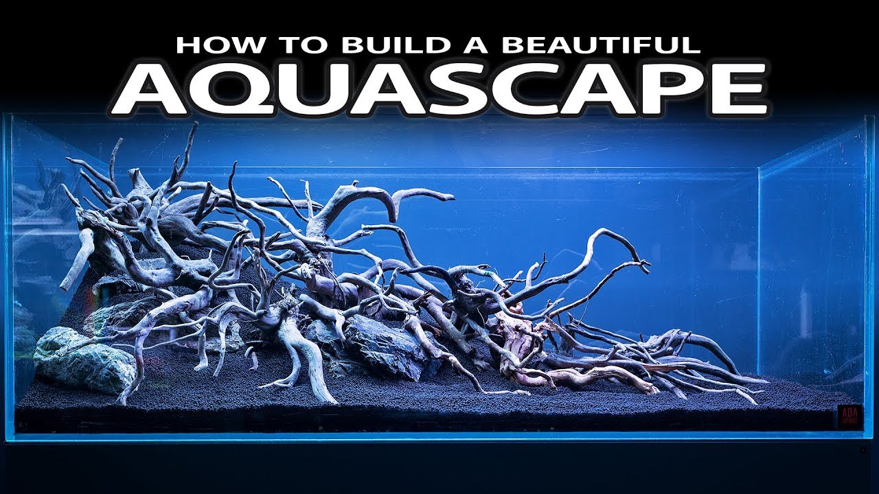 HOW TO BUILD A BEAUTIFUL AQUASCAPE EASILY - INSPIRATION, HARDSCAPE, LAYOUT