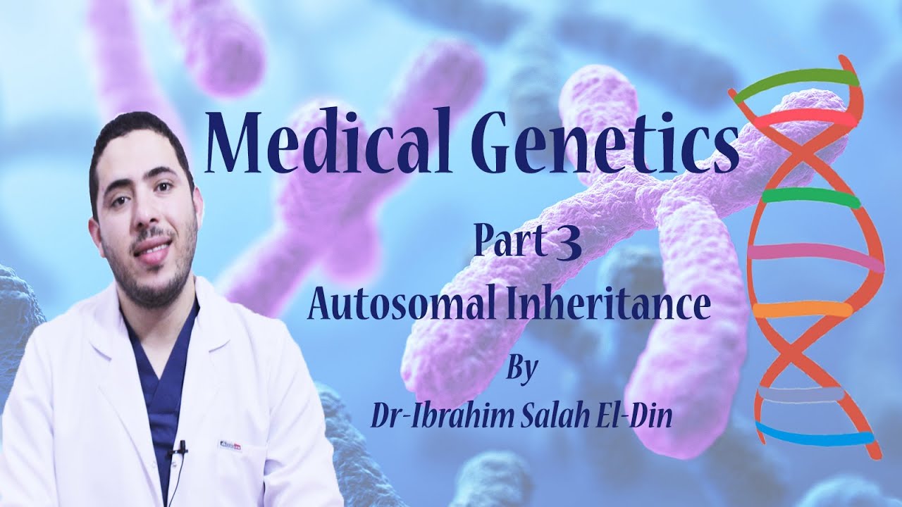 Medical Genetics Part 3 Autosomal  Inheritance