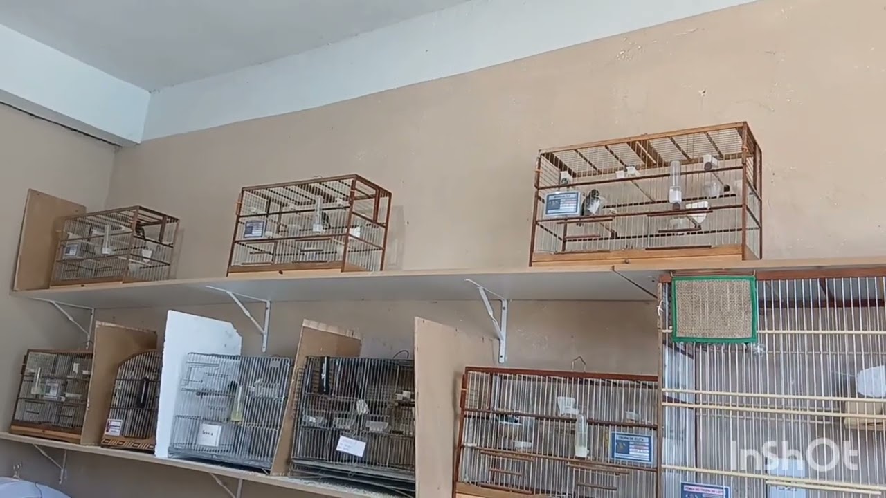 AGRADEÇO A ASA NUTRE PELA A ENTREGA AO CRIATORIO JR