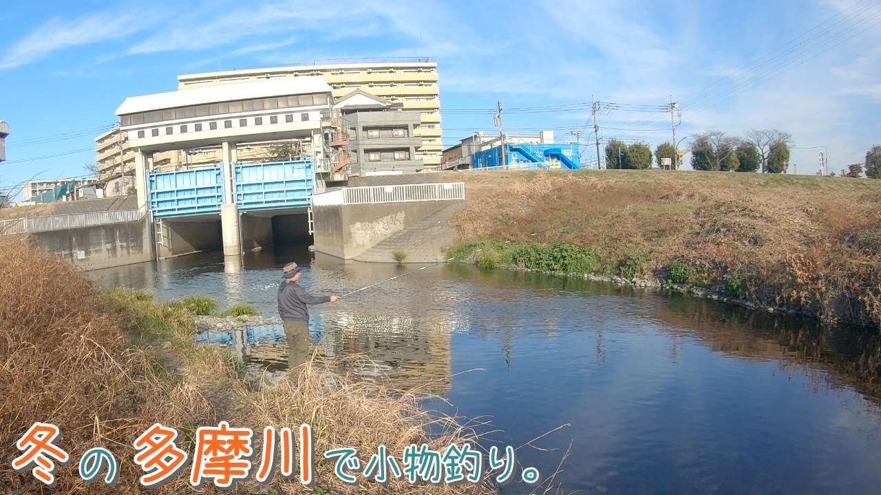 厳寒期の多摩川はどんな感じ？  冬の多摩川を散策～♪  冬の多摩川で小物釣り。