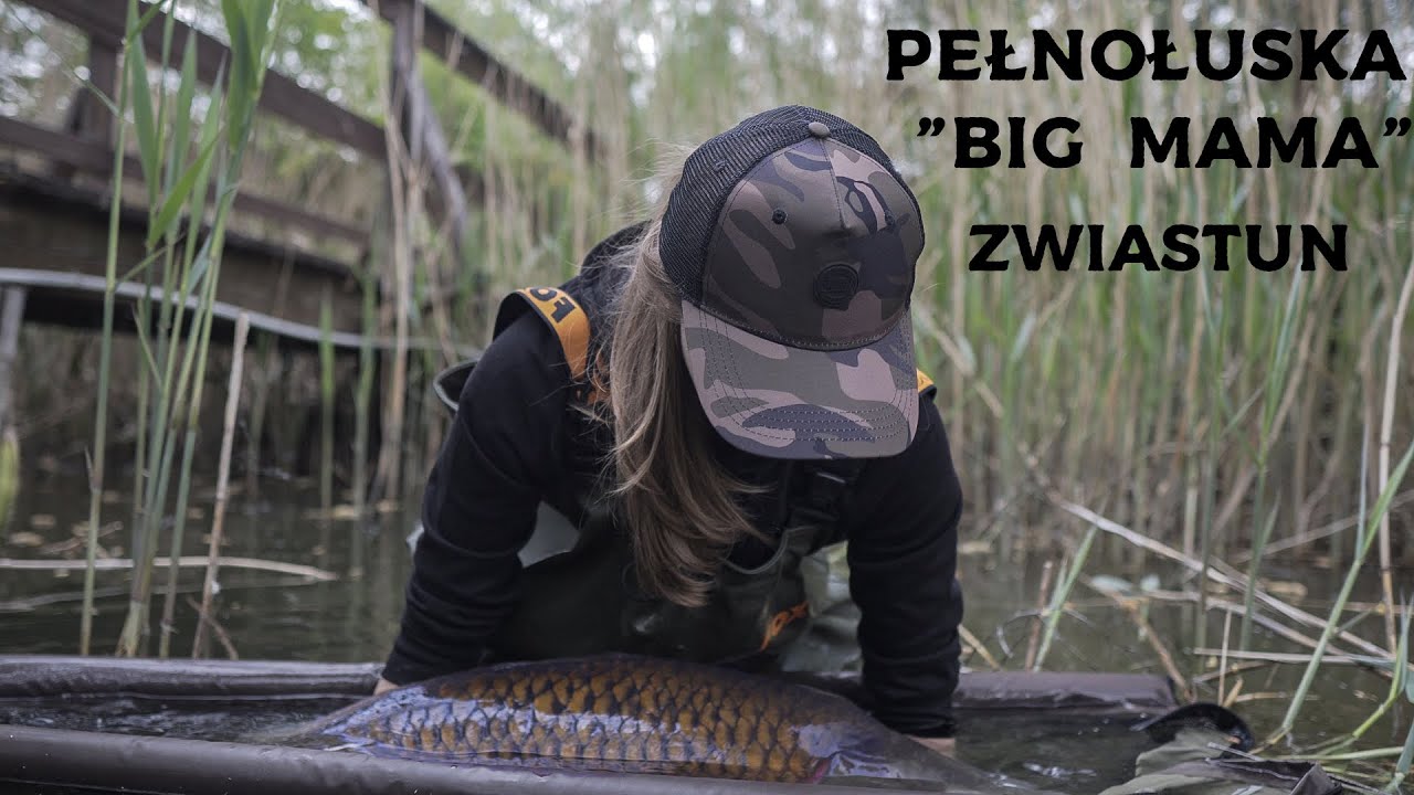 DWIE PEŁNOŁUSKIE 