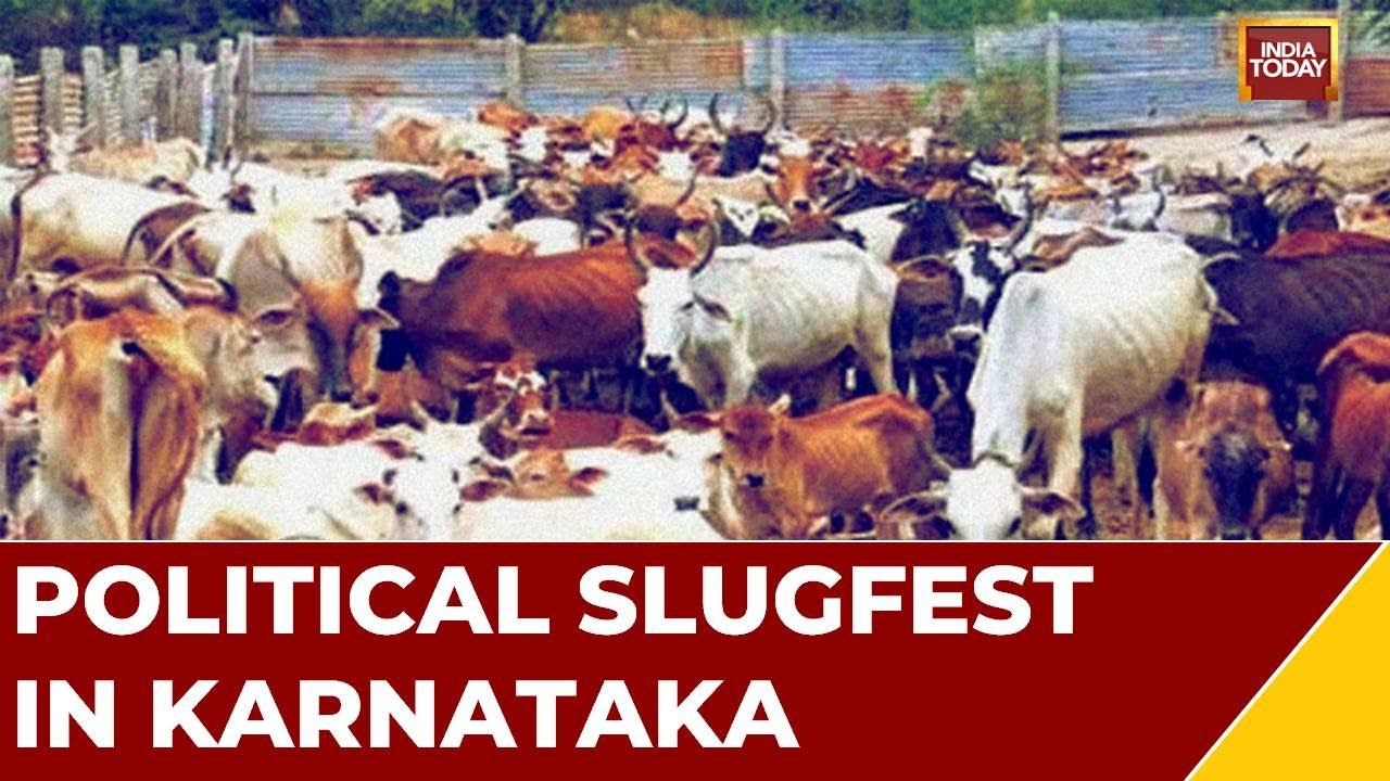 Move To Withdraw Anti-Cow Slaughter Act Triggers Political Slugfest In Karnataka | Watch This Report