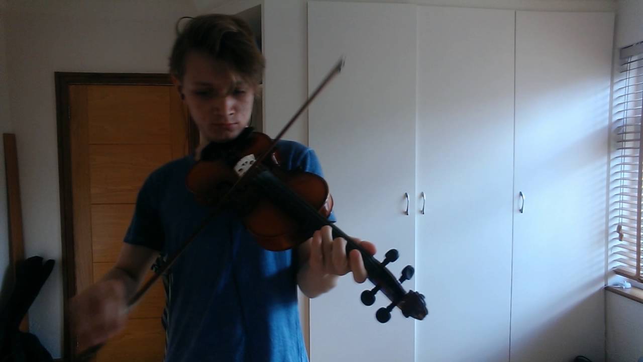Ne Obliviscaris - And Plague Flowers the Kaleidoscope Violin Cover