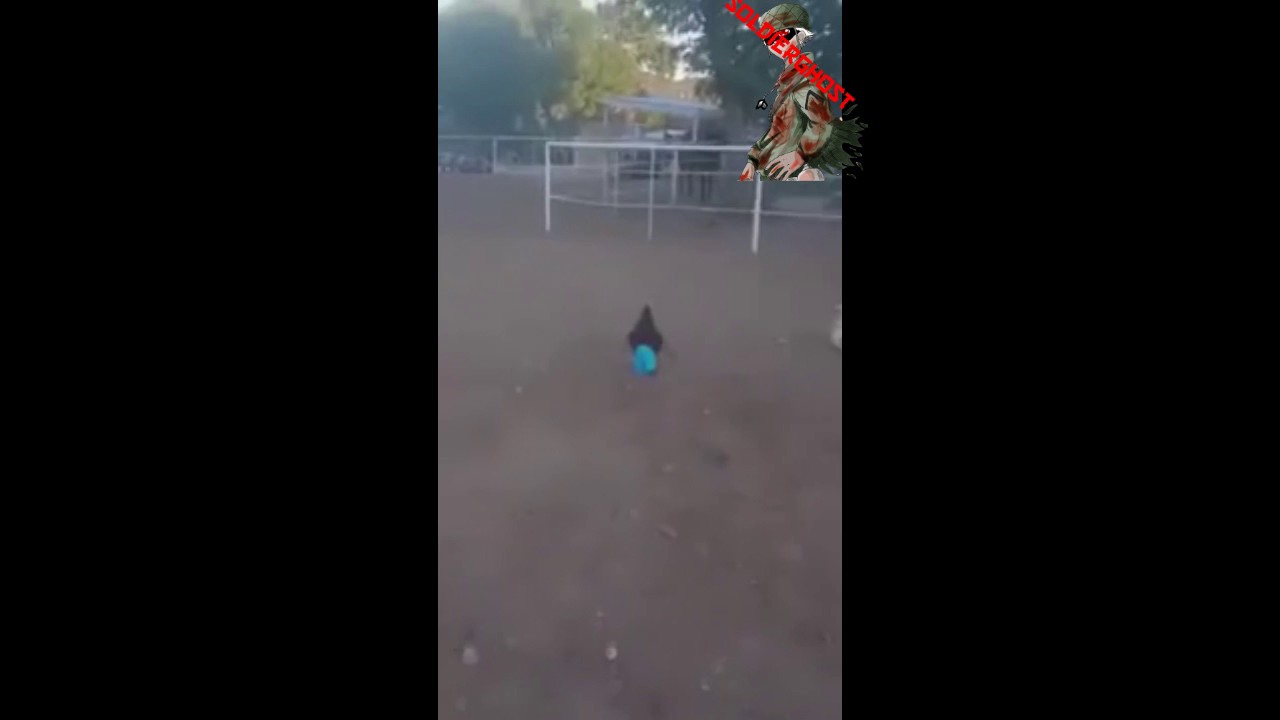 Galo de cal&ccedil;as putasso ao som de Naruto