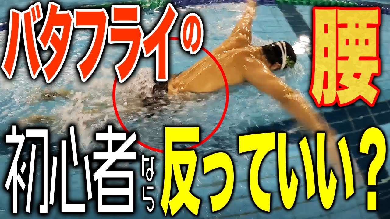 【質問コーナー2】バタフライ呼吸の姿勢,クロール6ビートなど皆さんのギモンを解決していきます！／クロール／バタフライ／スタート　