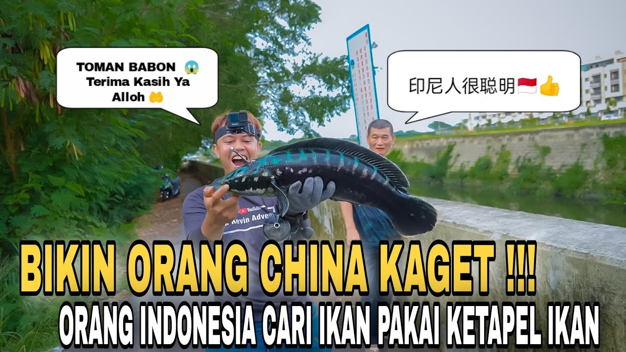Dapat Ikan Toman Pakai Ketapel Bikin Orang Taiwan Heran