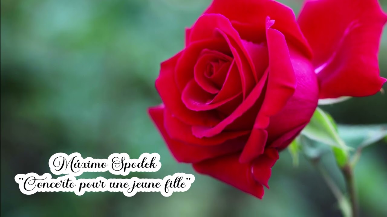 Máximo Spodek, Concerto pour une jeune fille, Piano et arrangements musicaux, Musique instrumentale